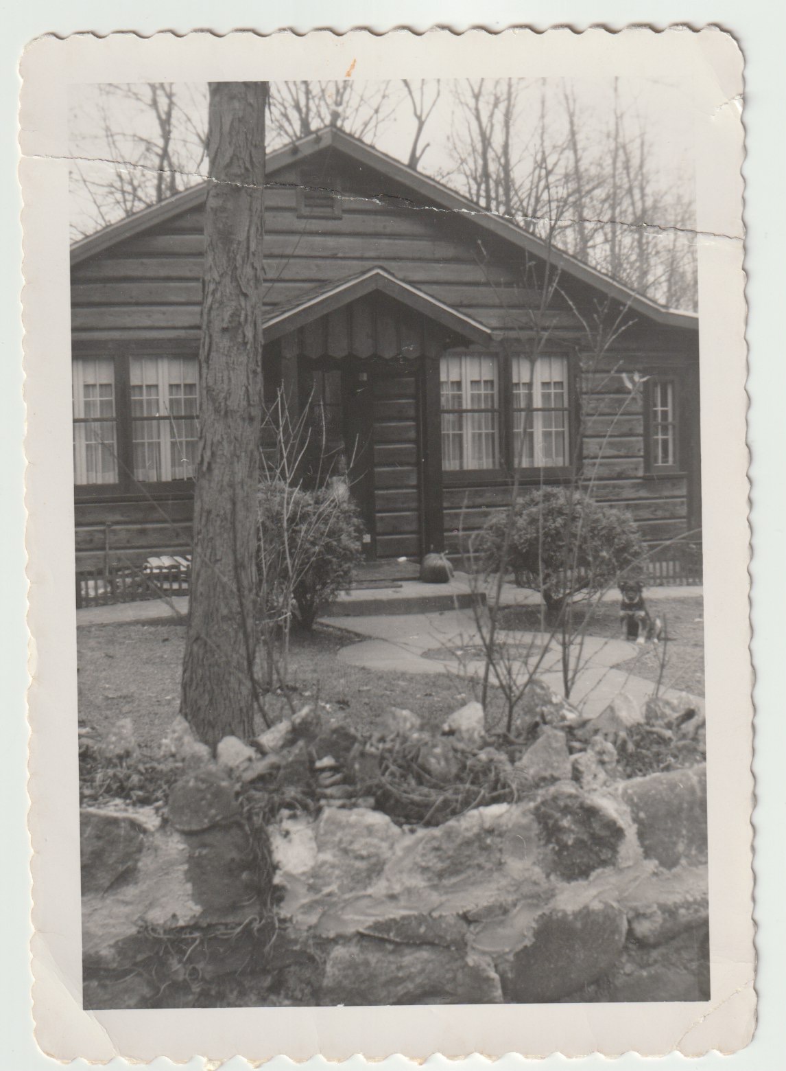 log cabin by the lake